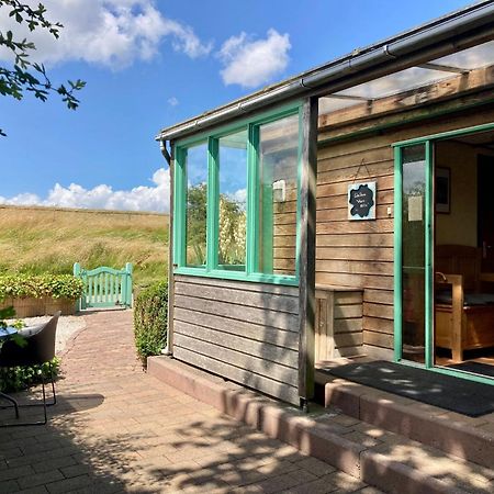 4 Pers Holiday Home Hilla With Winter Garden In Front Of The Dike Directly On The Lauwersmeer Anjum 외부 사진