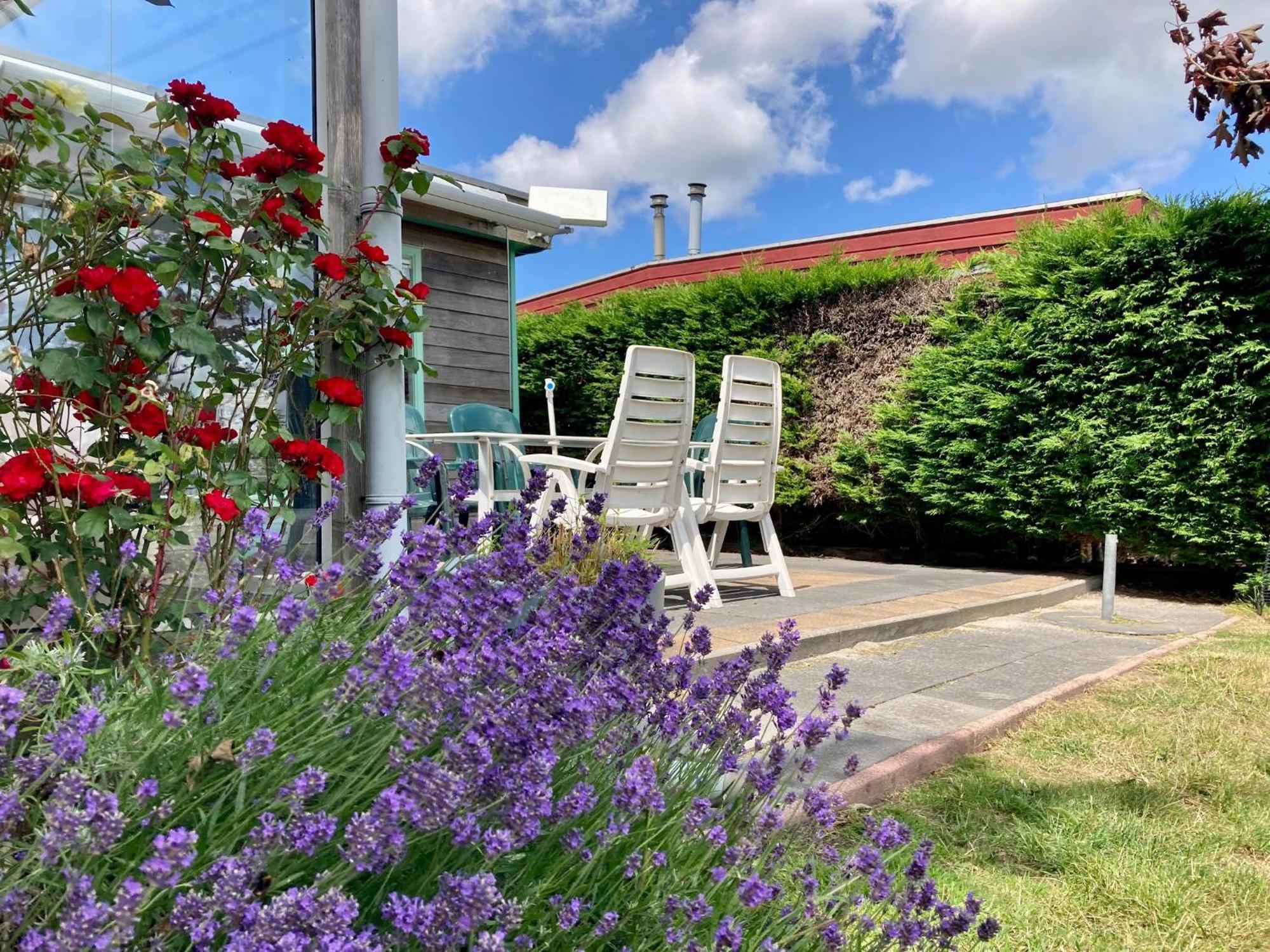 4 Pers Holiday Home Hilla With Winter Garden In Front Of The Dike Directly On The Lauwersmeer Anjum 외부 사진